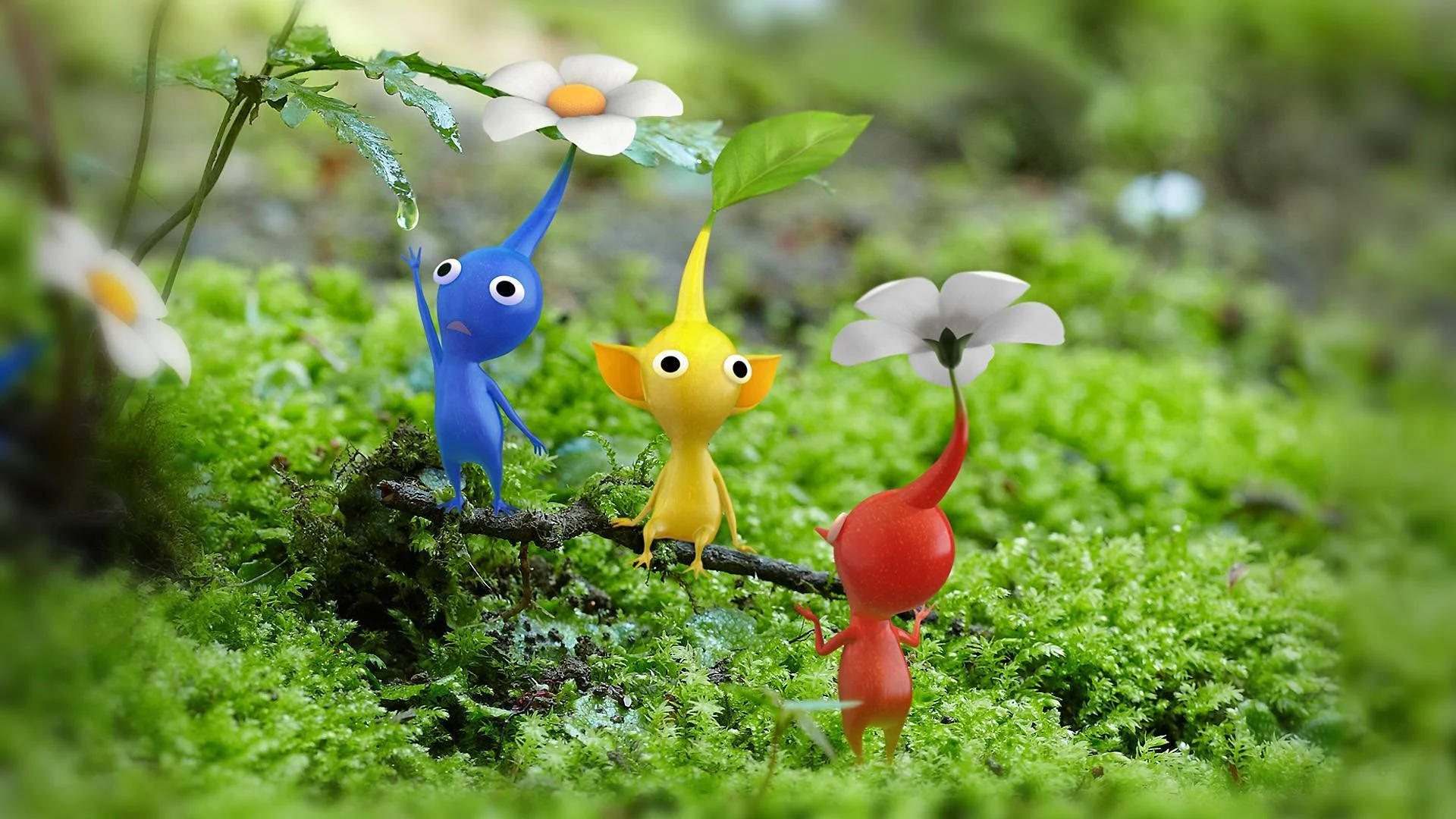 Miyamoto: PIKMIN 4 Is Still On The Way
