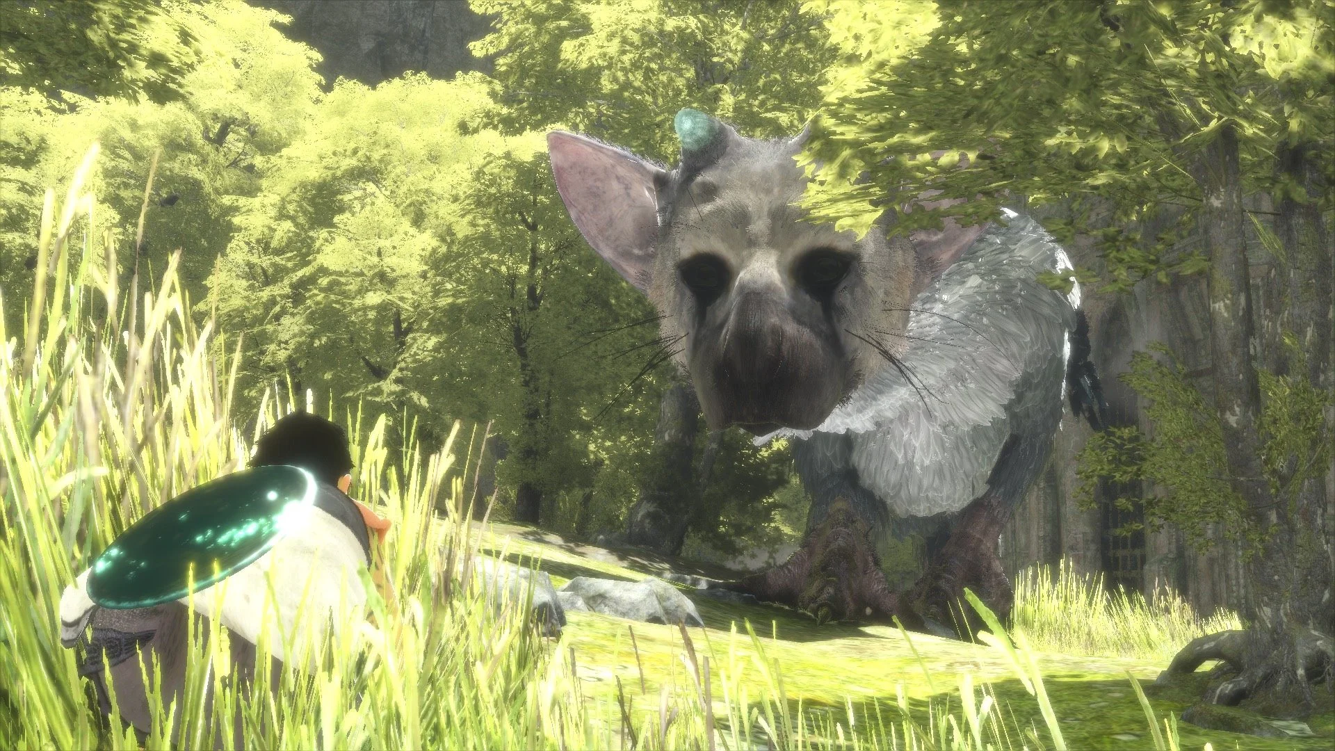 Watch: 18 Minutes Of THE LAST GUARDIAN