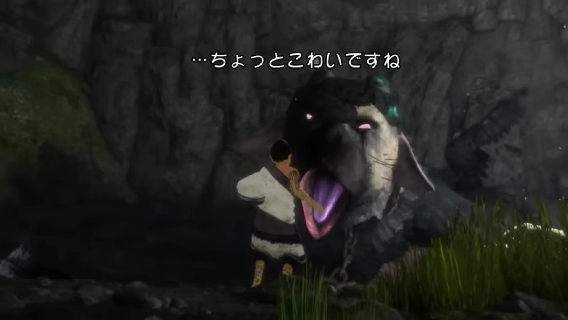 See Some Derpy Guardian Footage From THE LAST GUARDIAN