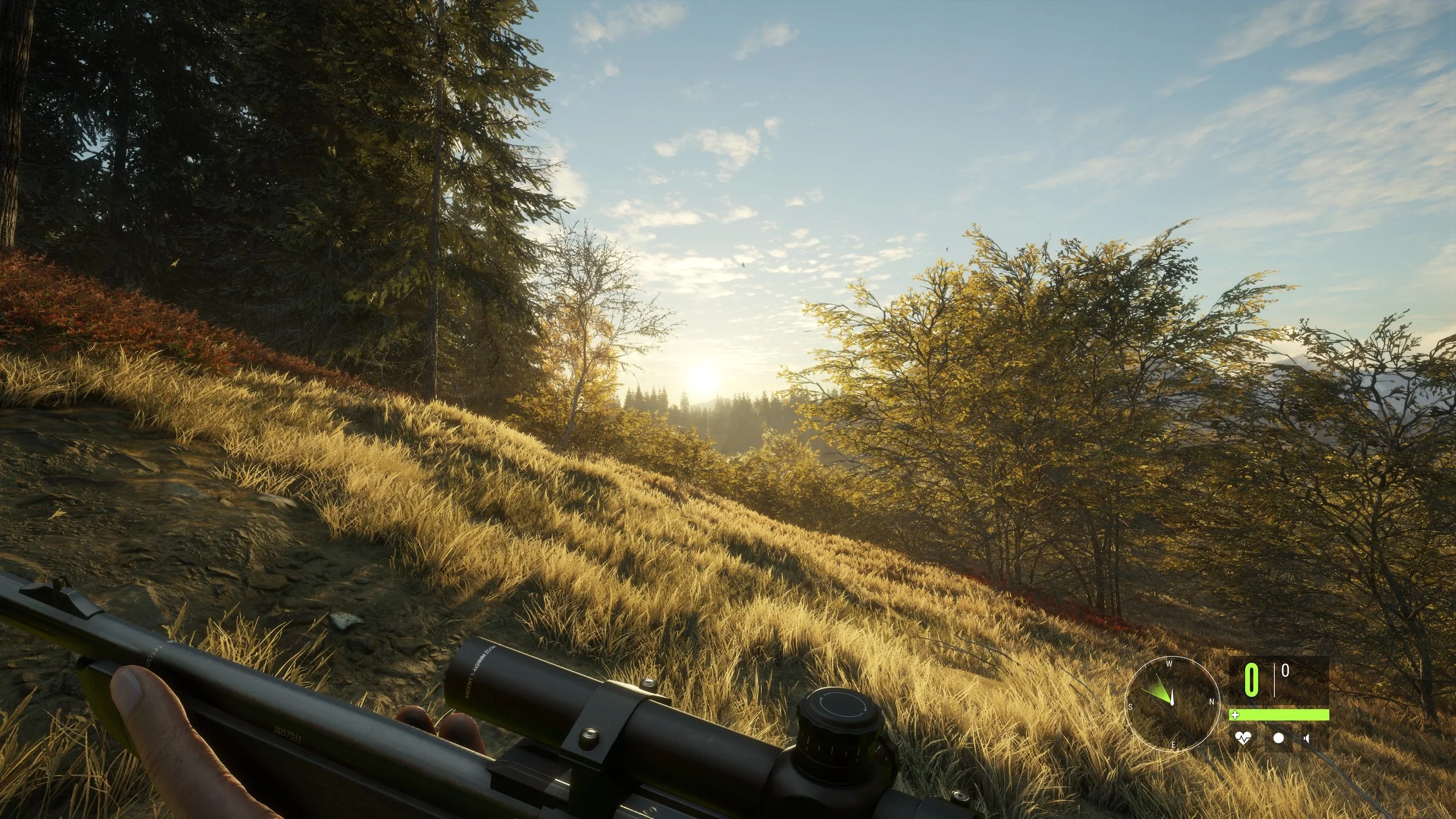 THE HUNTER: CALL OF THE WILD is Absolutely Gorgeous
