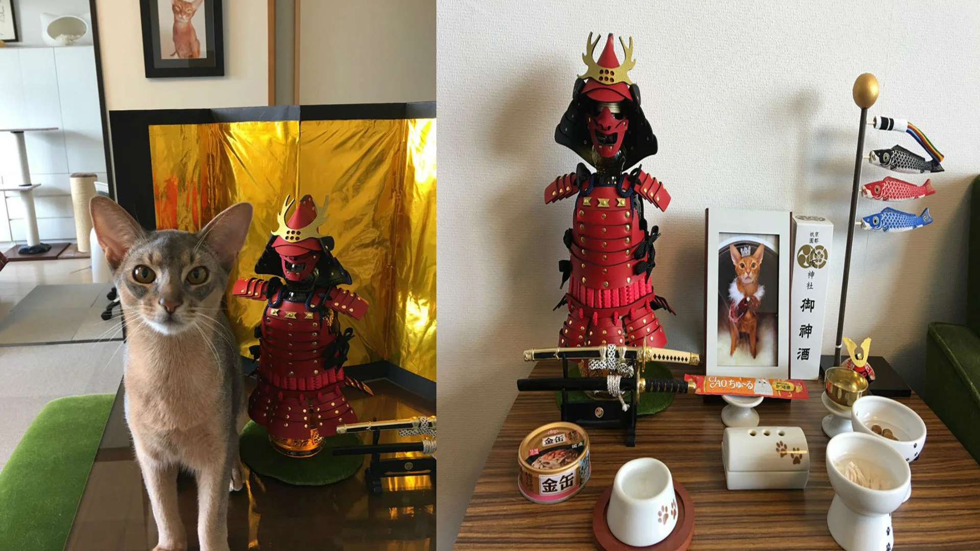 Japanese Cats and Dogs are Getting Samurai Armor Now