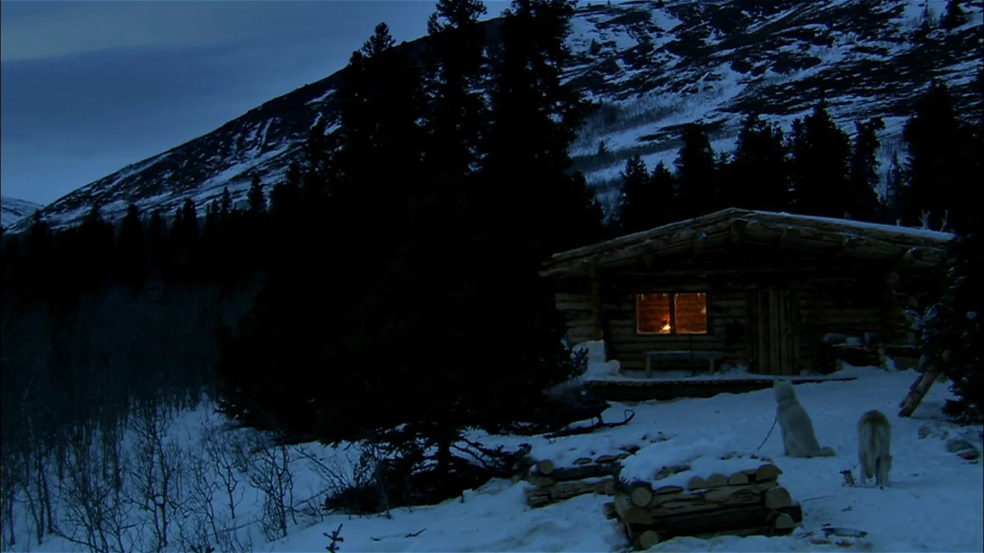 Hinterland Teams Up With Jeremy Bolt For THE LONG DARK Live Action Film Adaptation