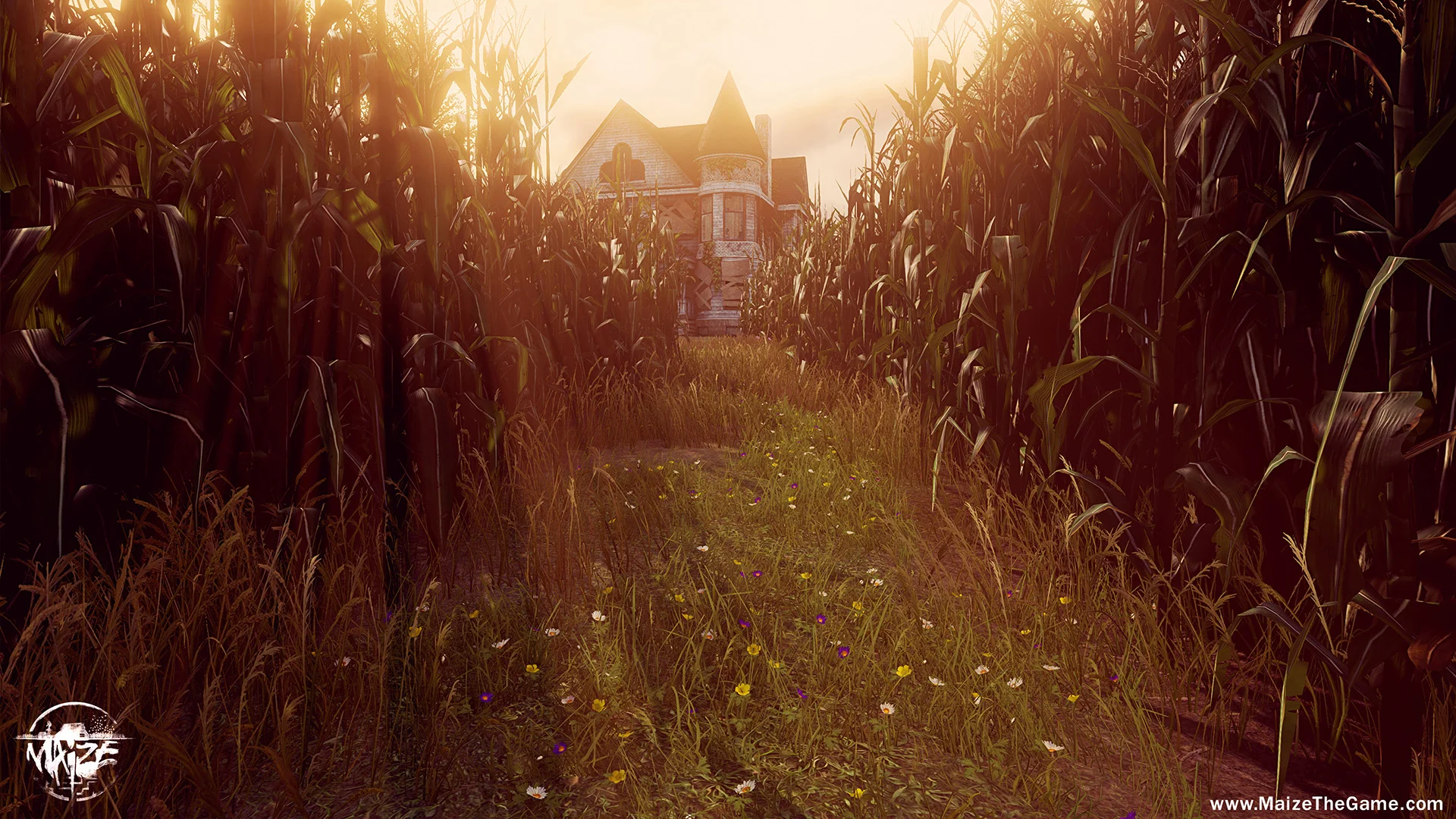Review: MAIZE PS4 Edition