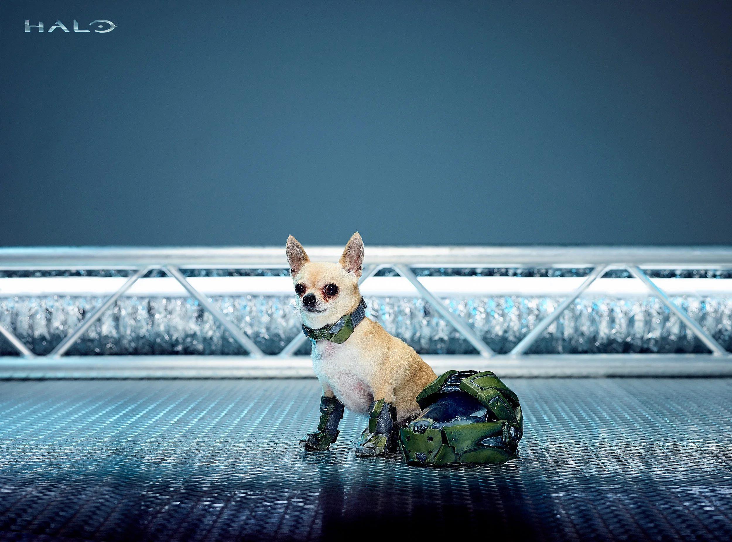 XBOX ONE COSPUPS Celebrate the Year of the Dog