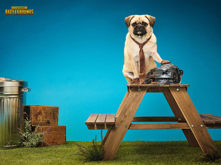 XboxCosPups-PUBG.jpg