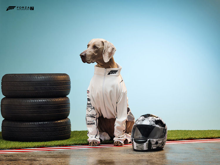 XboxCosPups-Forza.jpg