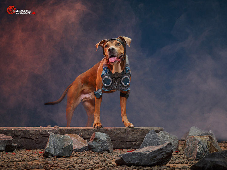 XboxCosPups-GearsofWar.jpg