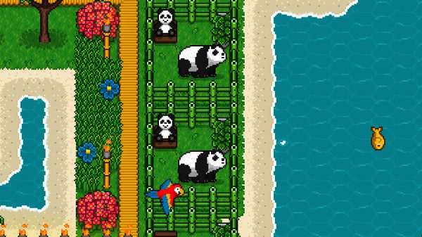 The-Islander-Pandas.jpg