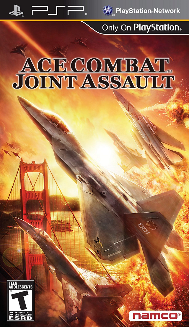  Ace Combat: Assault Horizon - Playstation 3 : Everything Else