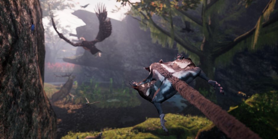 Survive The Wild In The Survival Series Beginning Title AWAY