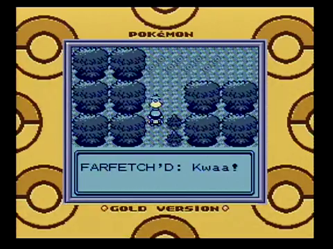 Character Spotlight: Farfetch'd and Sirfetch'd — GameTyrant