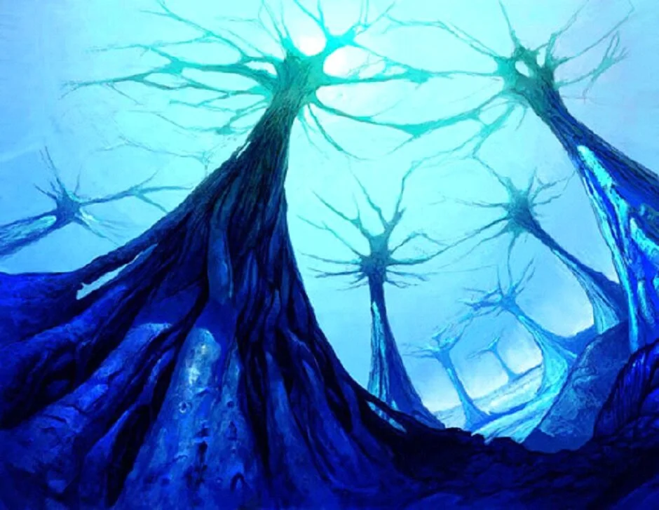 MAGIC'S Modern Bannings: What and Why?