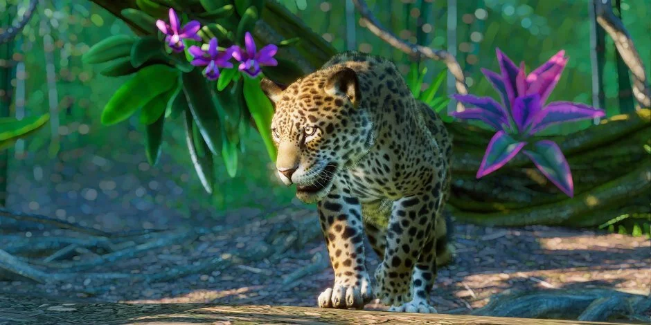 PLANET ZOO Launches South America DLC Alongside A Free Game Update!