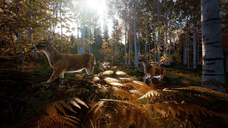 hs2-animals.jpeg