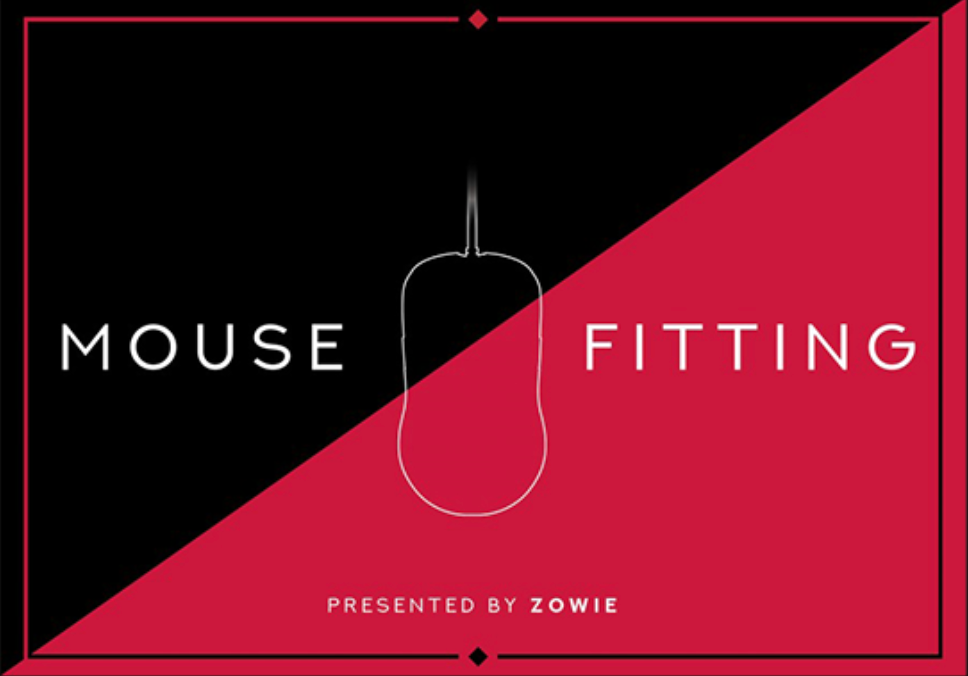 BenQ ZOWIE Mouse Fitting Kit Review - A Service Fit For The Most Intrepid Gamer