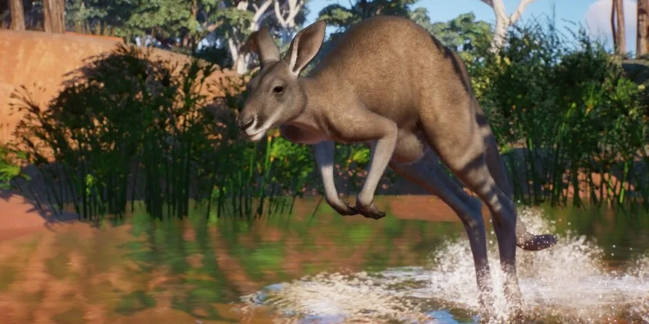 Bring The Outback To Your PLANET ZOO With The New Australia DLC Pack