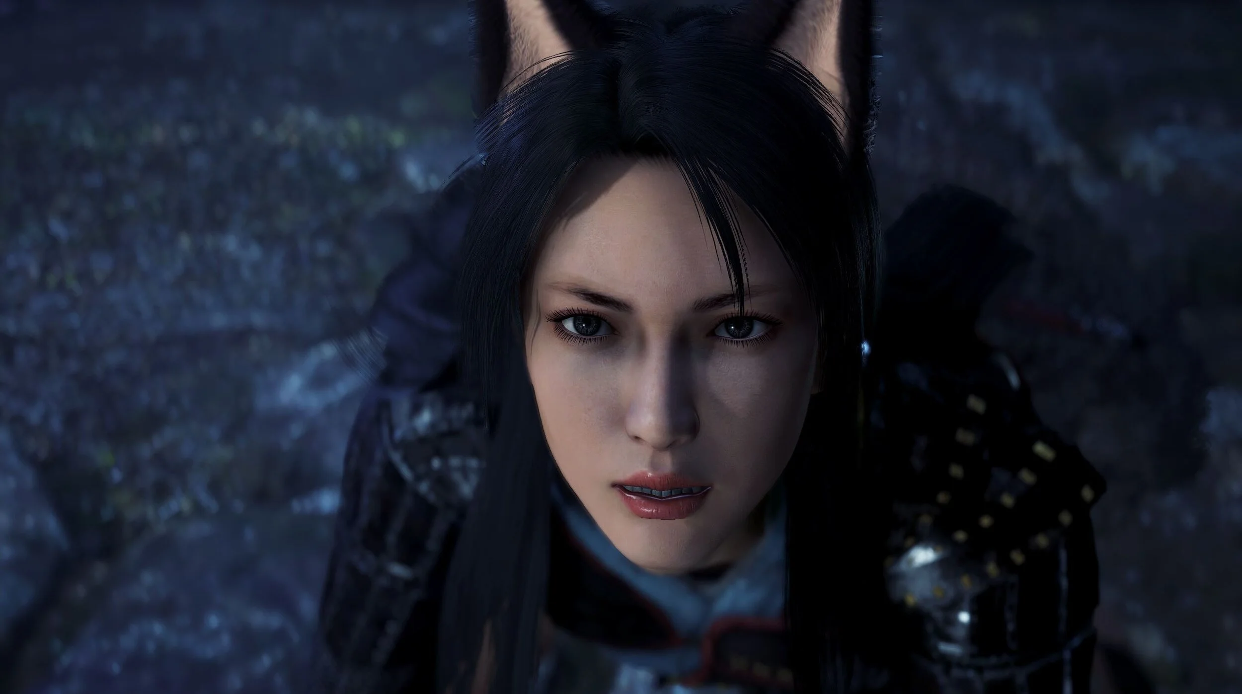 Tweak Guide: NIOH 2 PC