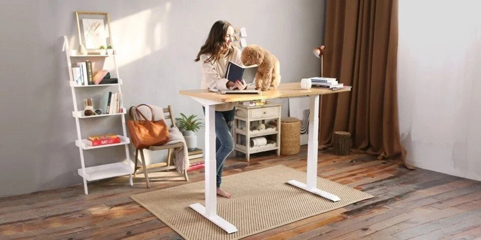 Looking For Something To Spruce Up Your Gaming Setup? Checkout FlexiSpot's Pro Series Standing Desk