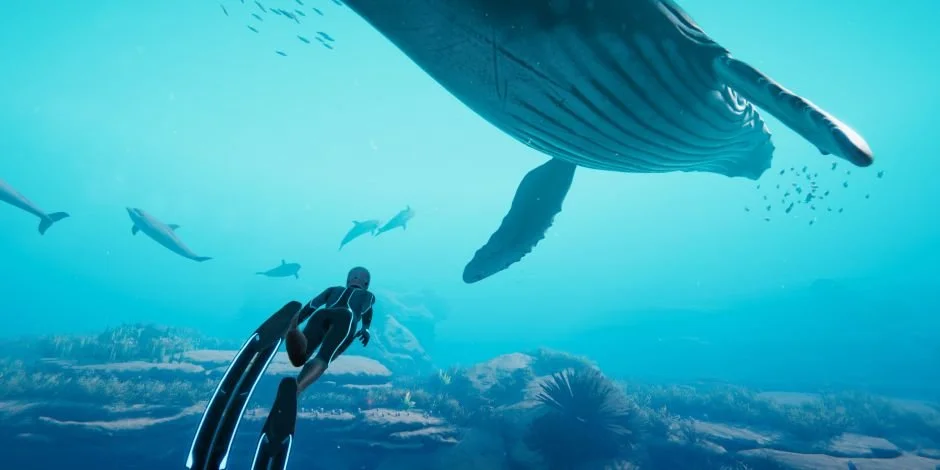 Sea Life Lovers Can Now Go BEYOND BLUE On Their Nintendo Switch