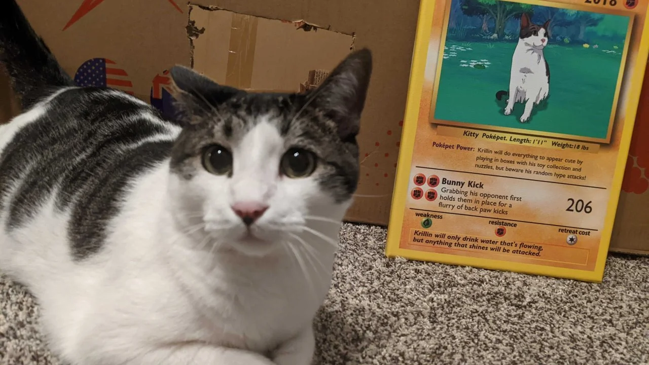SOMETHING COOL: Turn Your Pet Into A Pokemon With PokePet