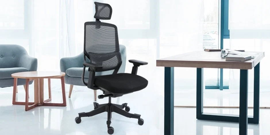 FlexiSpot Soutien Ergonomic Chair Review: Comfort And Quality