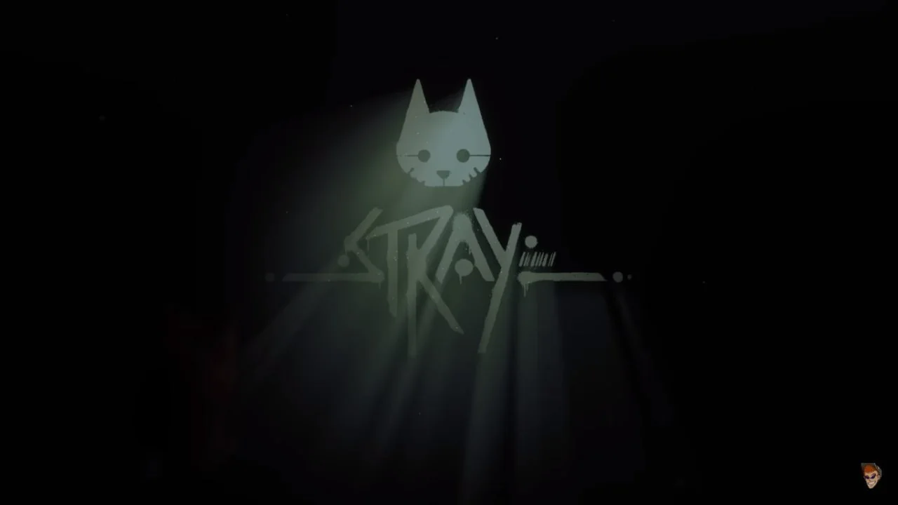 See Even More From STRAY In This Out Of Bounds Video