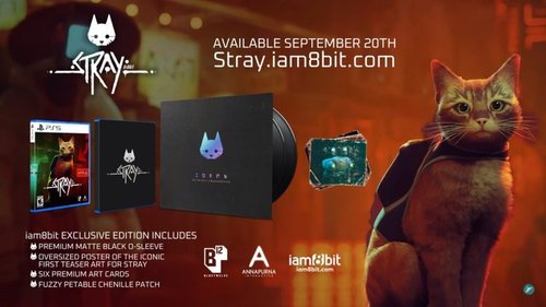 The Adorable Cat Game Stray Is Getting A PS5 Physical Edition