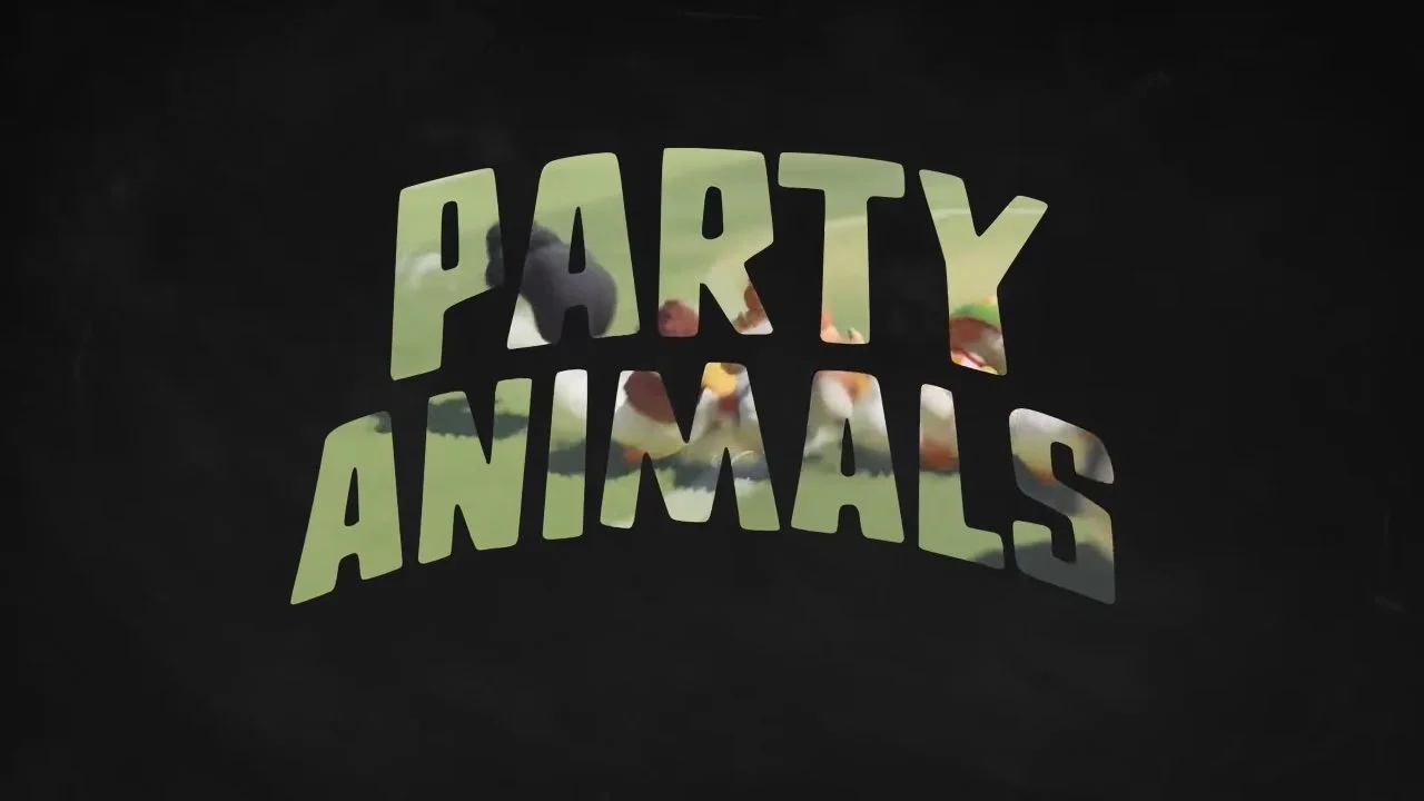 Get Your Friends Together For PARTY ANIMALS