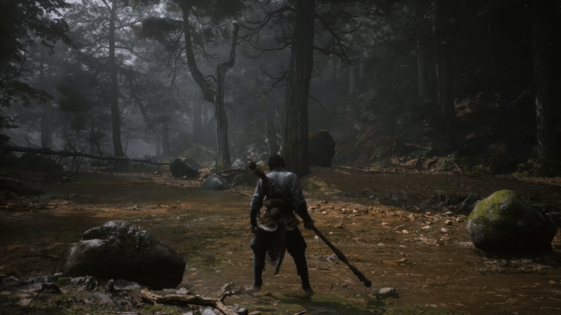 NVIDIA Showcase BLACK MYTH: WUKONG