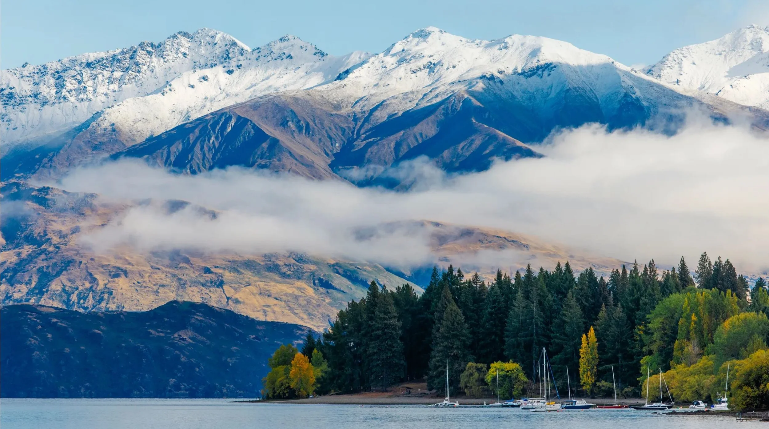 The Growth of New Zealand’s Indie Game Development Scene: Challenges and Success Stories