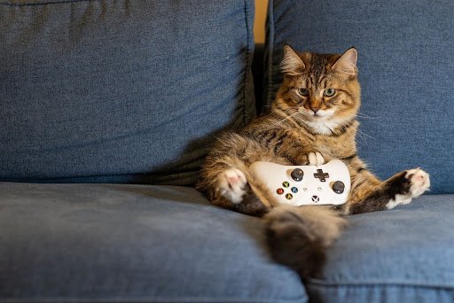 What To Do If Gaming Becomes Boring