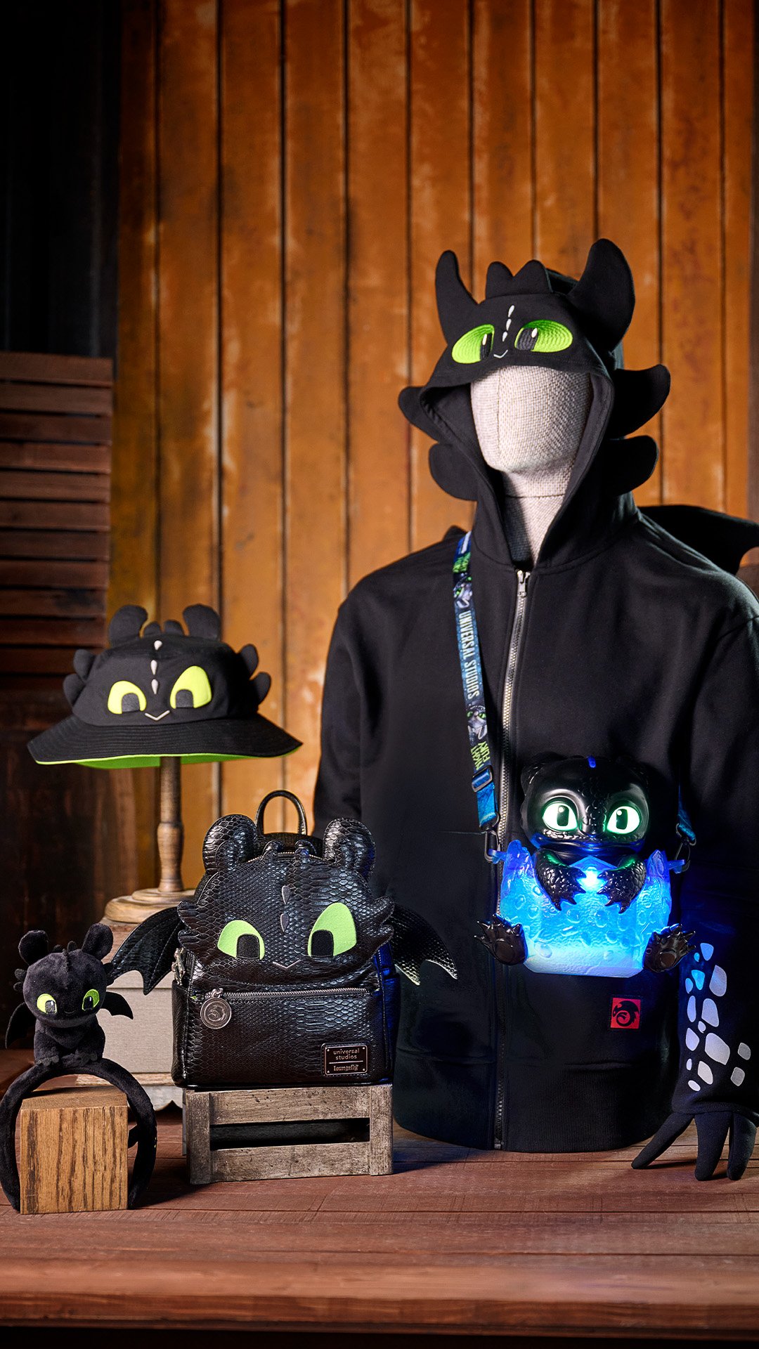 04_How to Train Your Dragon - Isle of Berk.JPG