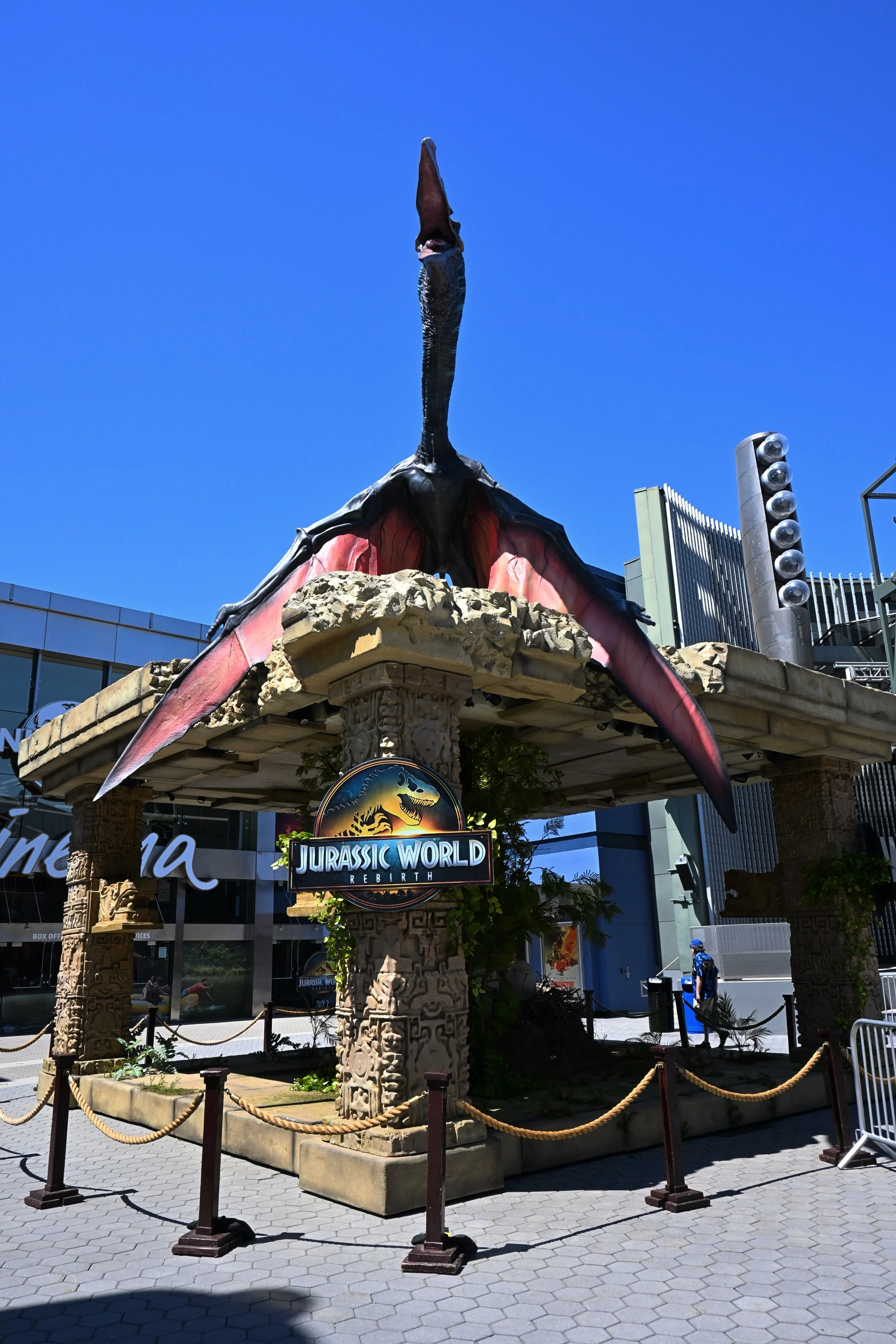 DSC_1084.jpg