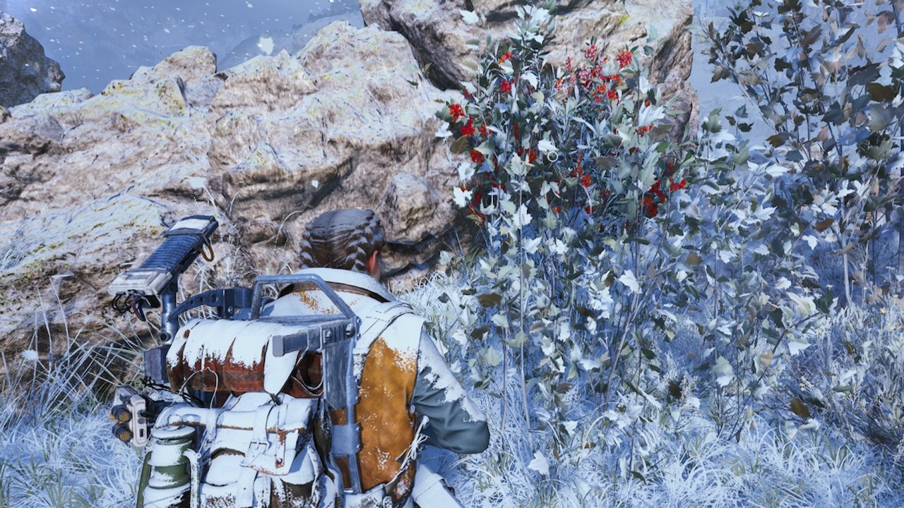 Where to Find Candleberries in Arc Raiders