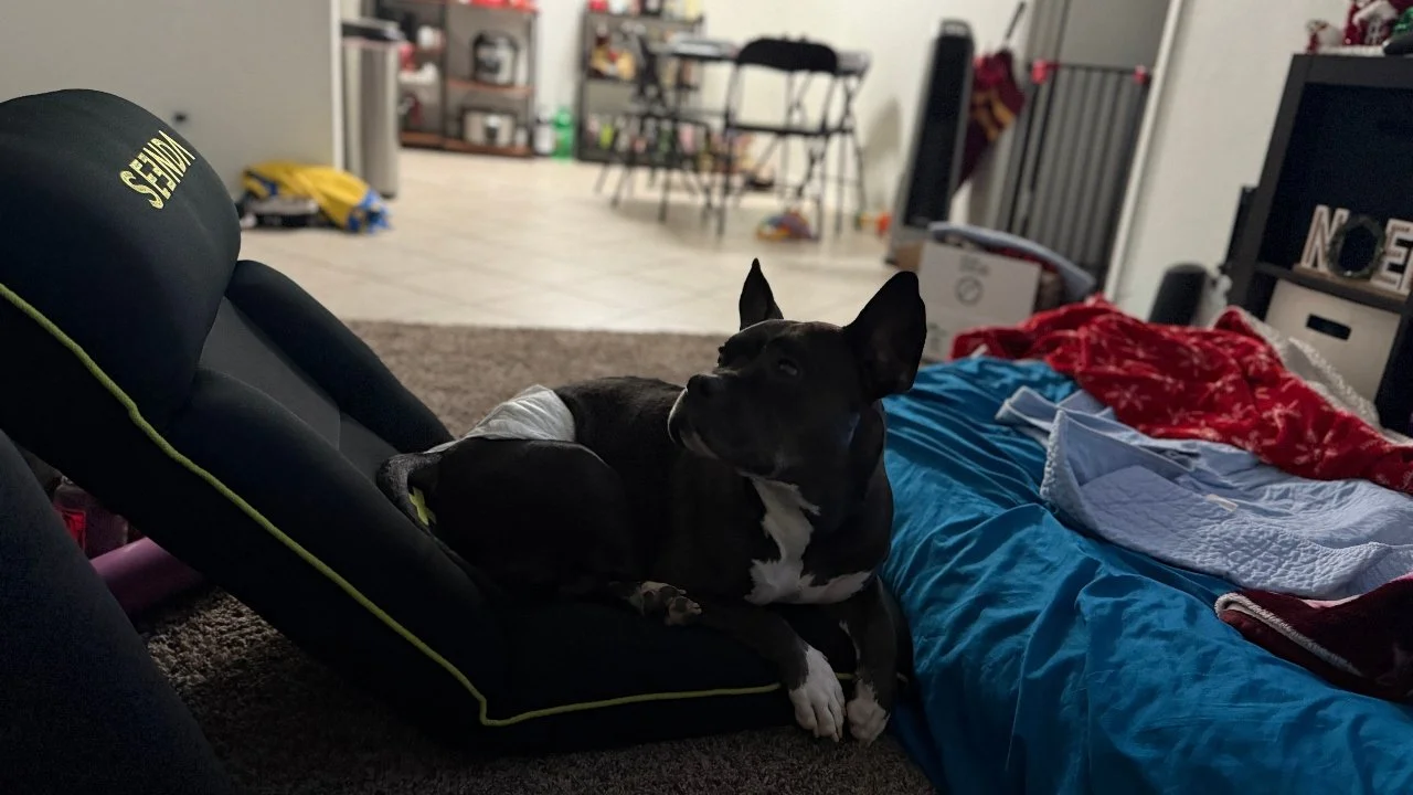 SNEEDA Floor Gaming Chair Review: Unexpectedly Comfortable