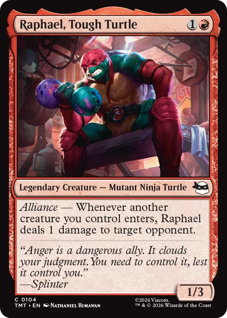 Raphael, Tough Turtle_EN_HRR.jpg
