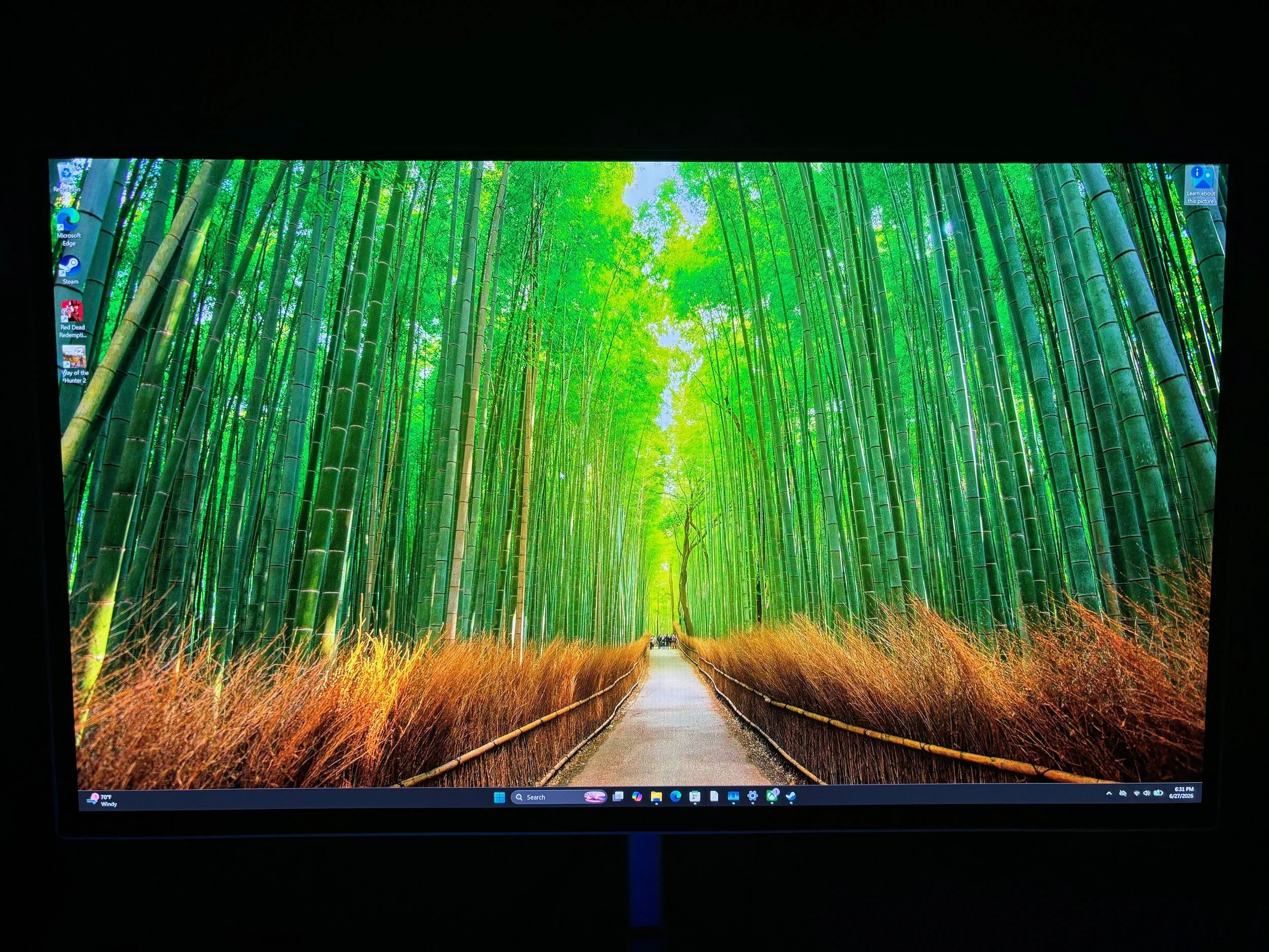 Acer CE270K G 4K QD-OLED Review: All Around Performer