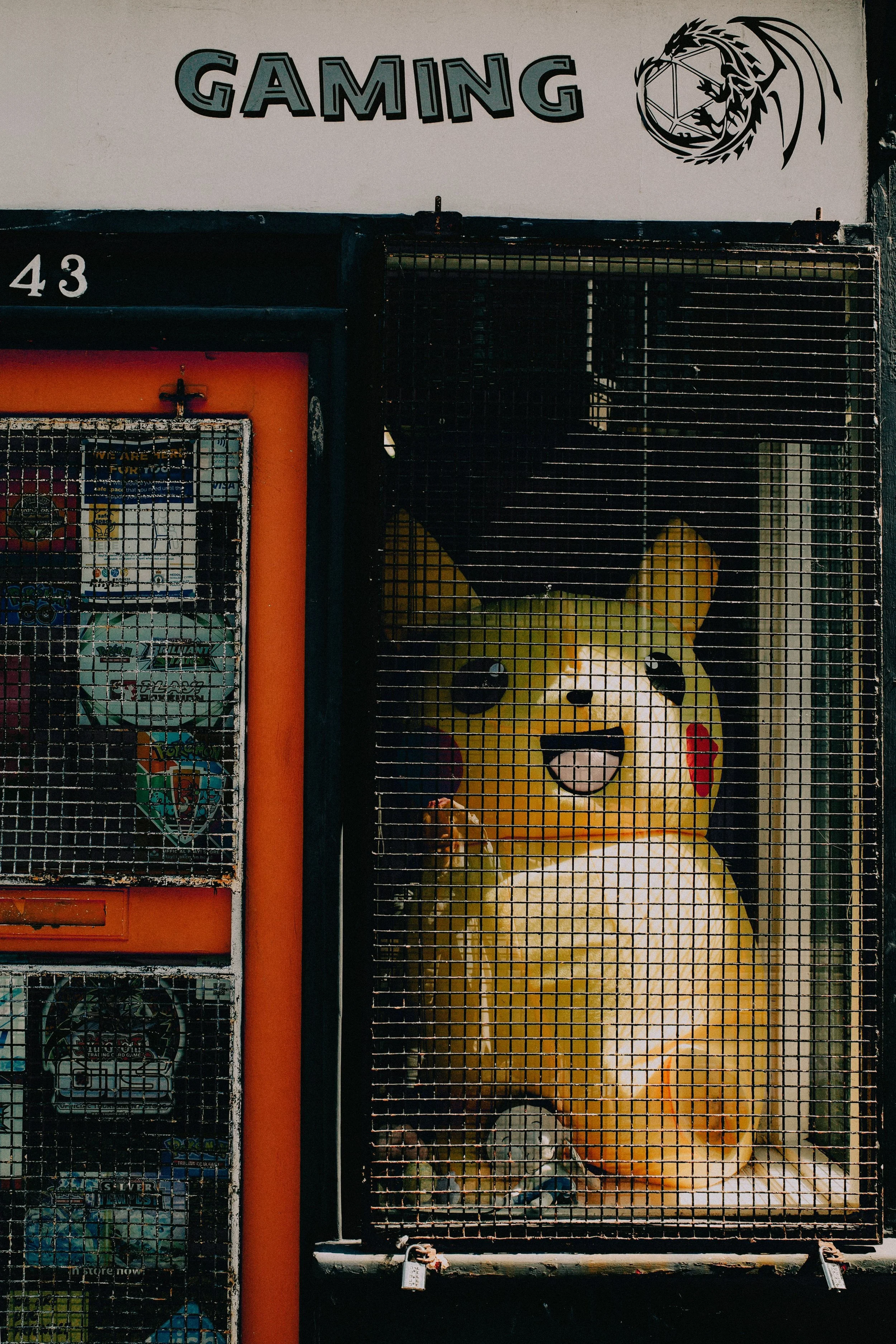 Raw vs Graded Pokémon Cards — The Numbers
