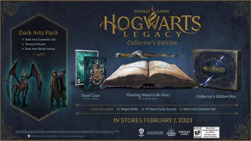 Hogwarts Legacy: Dark Arts Pack on Steam