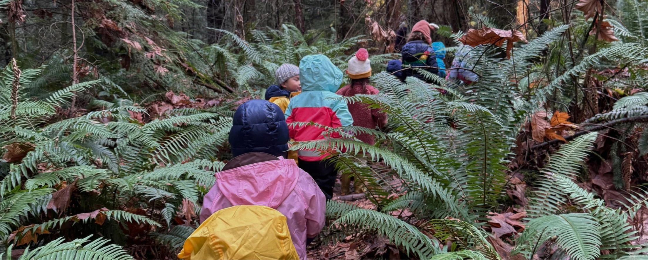 Nature Preschool — Nature Vision
