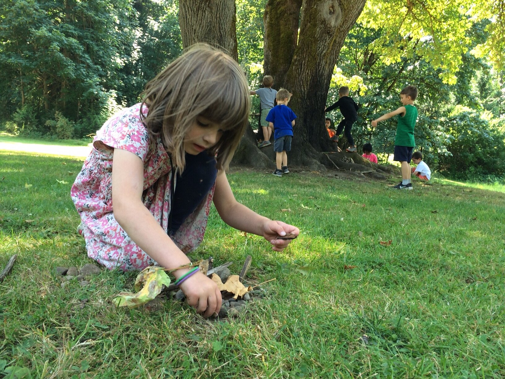 Day Camp Programs Nature Vision