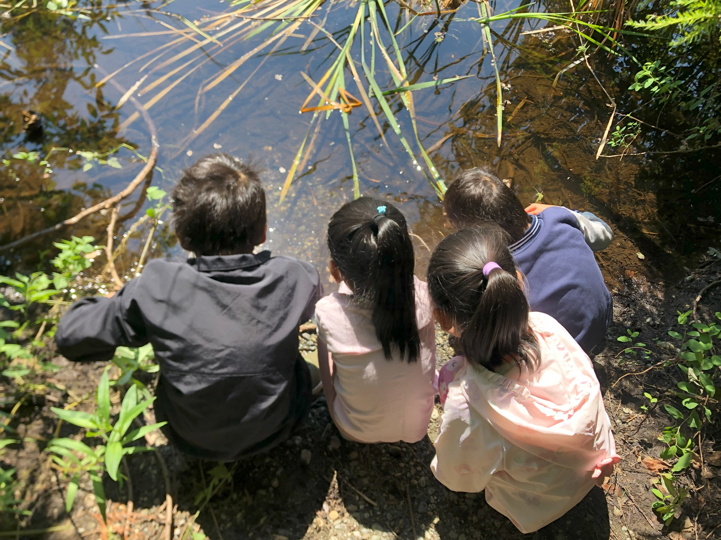 Four students sit on the edge of a pond