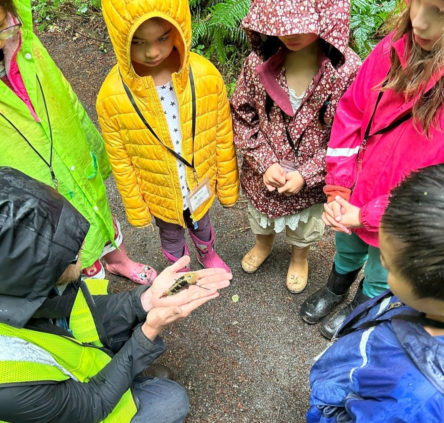 Educator holds banana slug for students to see.jpg