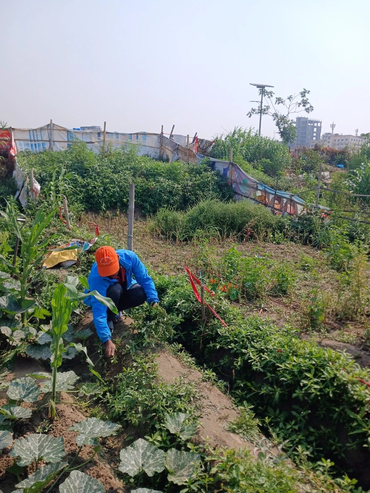 Saniya_Bhusal_L2L_2025_Nepal_P22_20250517_085836
