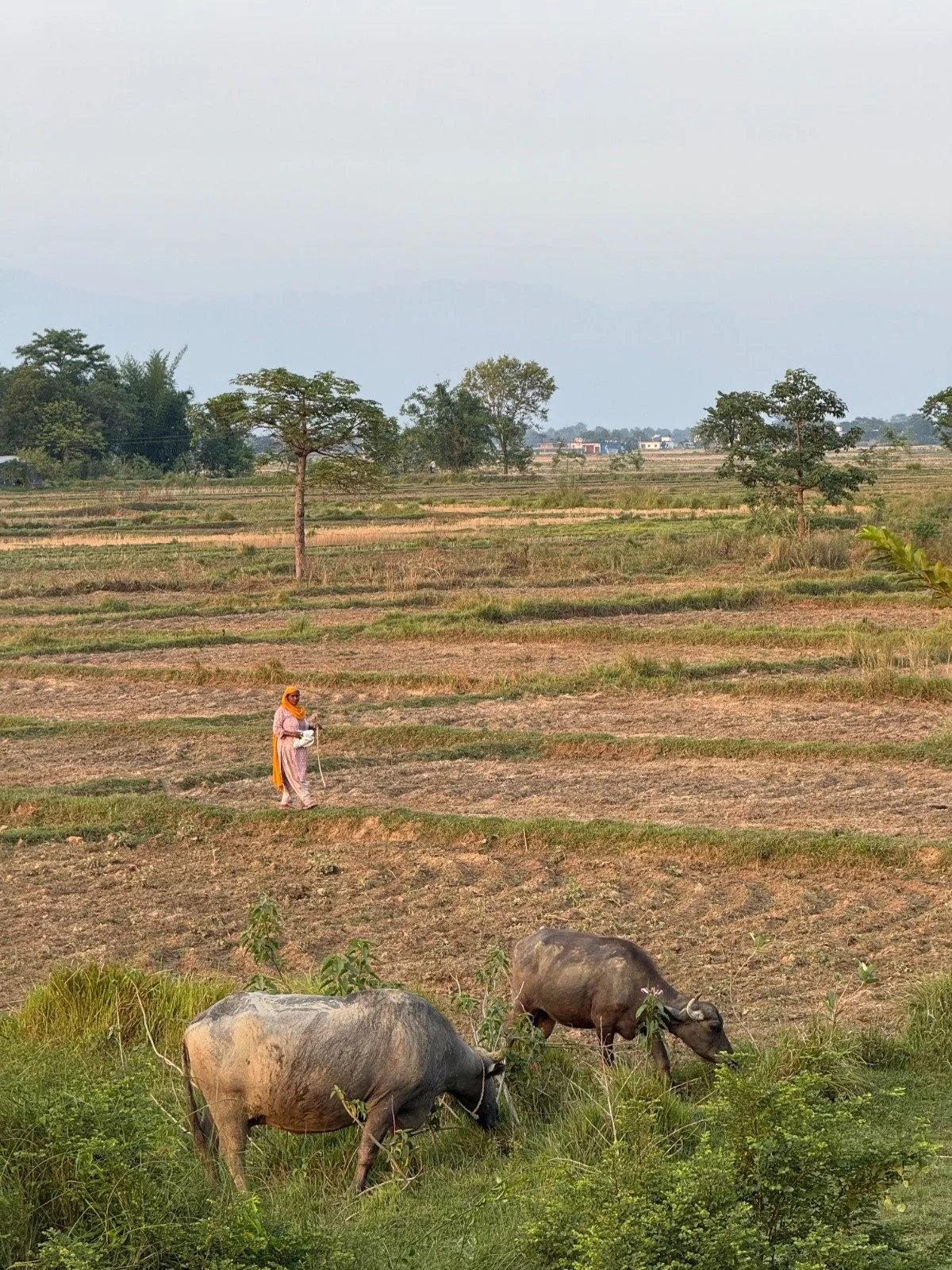 Chloe_Young_L2L_2025_Nepal_P06_IMG_7147