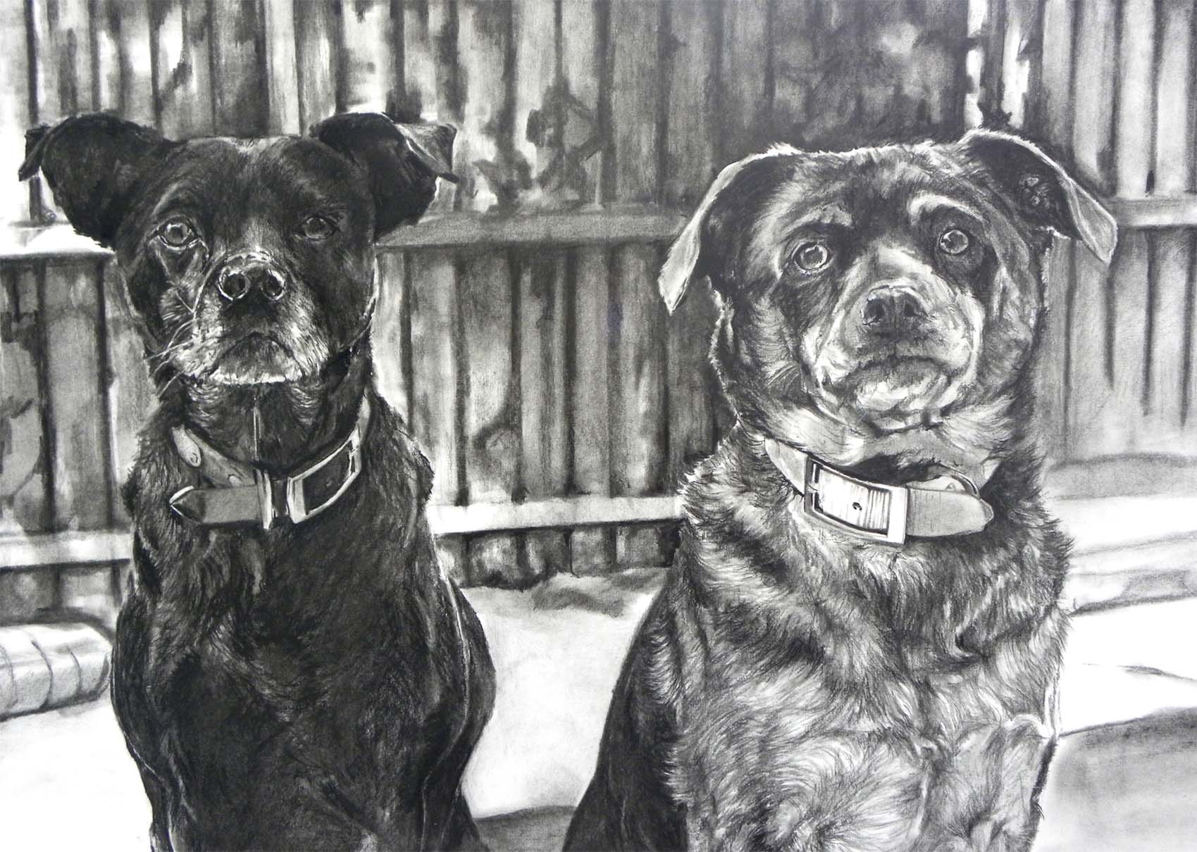Two Mutts, 18"x24"