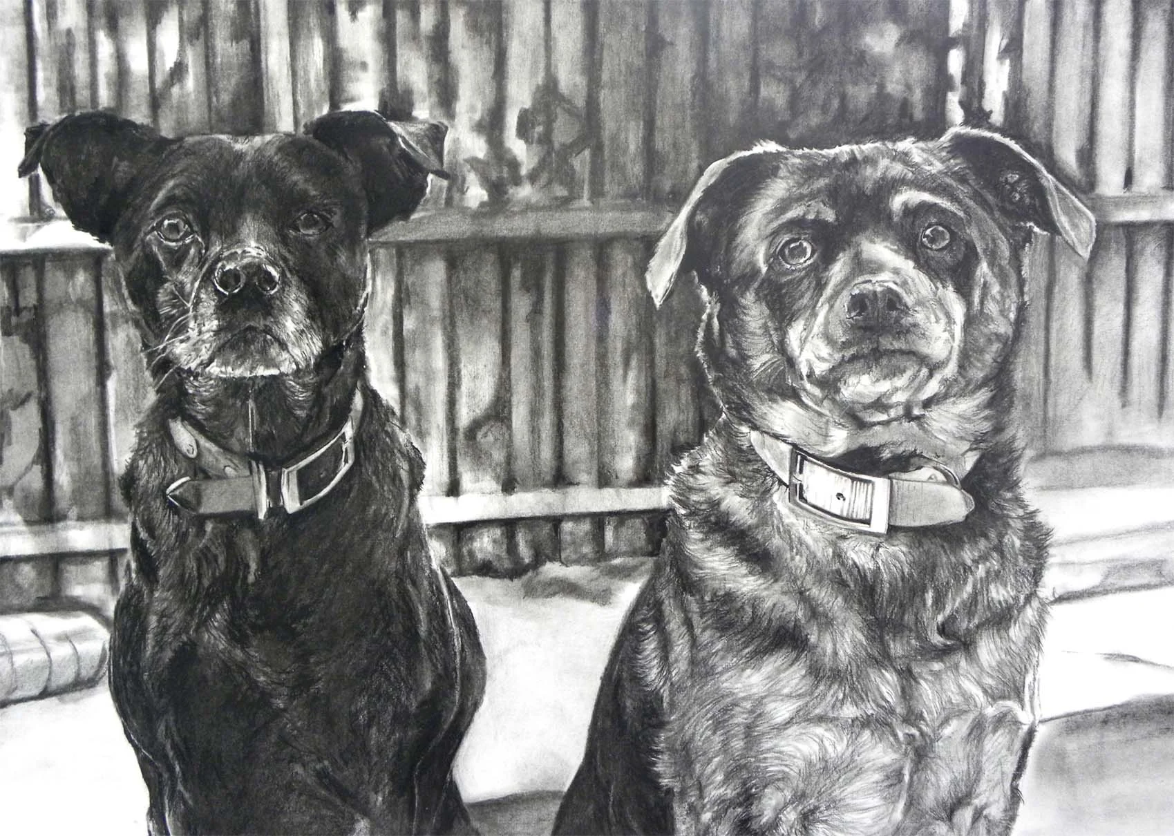 Two Mutts, 18"x24"