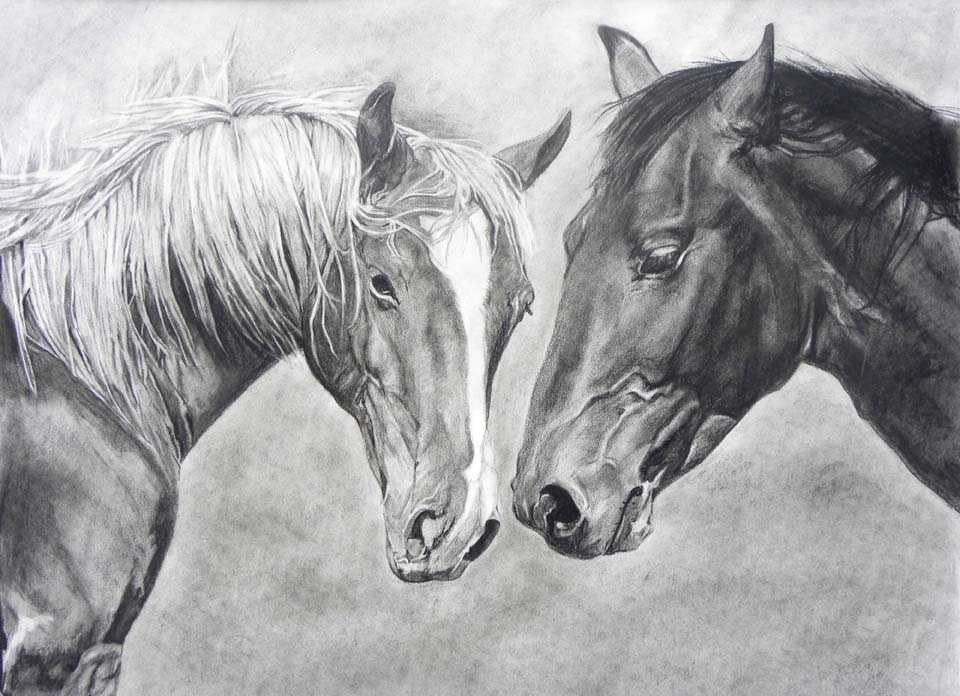 Two Horses, 18"x24"