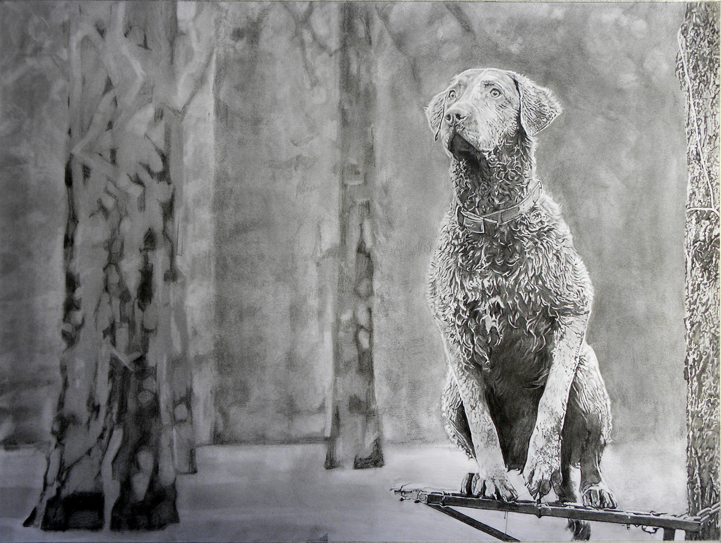 Chesapeake Bay Retriever Hunting Dog, 18"x24"