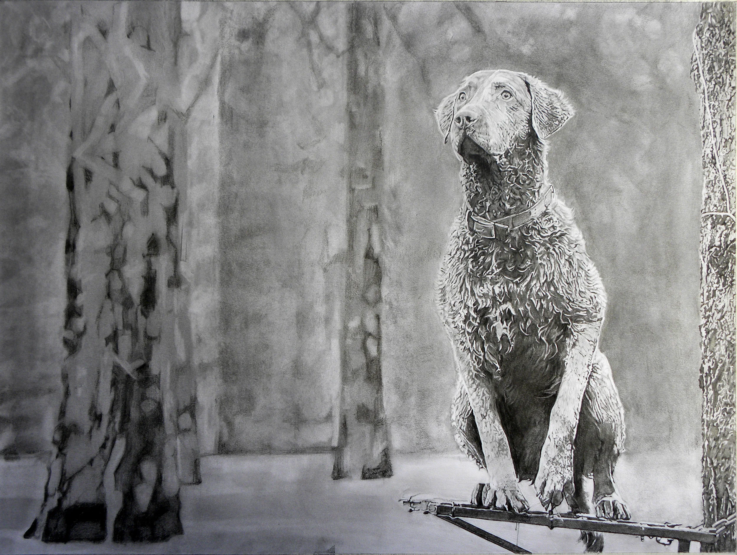 Chesapeake Bay Retriever Hunting Dog, 18"x24"